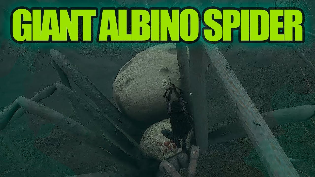 YouTube video cover