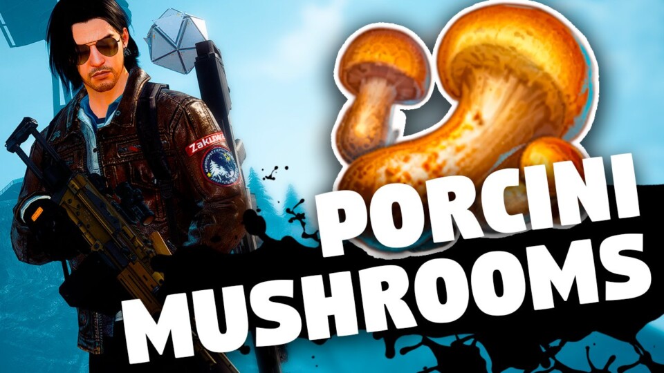 Porcini Mushrooms in Undawn